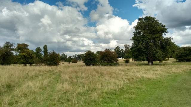 Pishiobury park (Click to enlarge)
